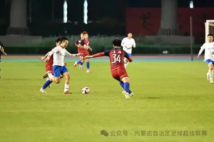17c精品麻豆一区二区免费